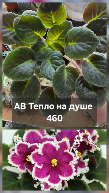 Разное продажа - частное объявление в Донецк