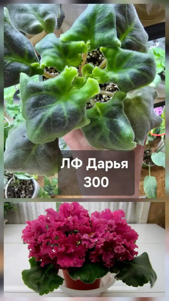 Разное продажа - Барахолка в Донецк