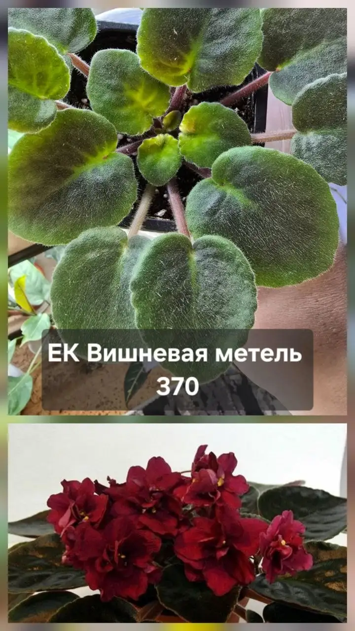 Разное продажа - Барахолка в Донецк