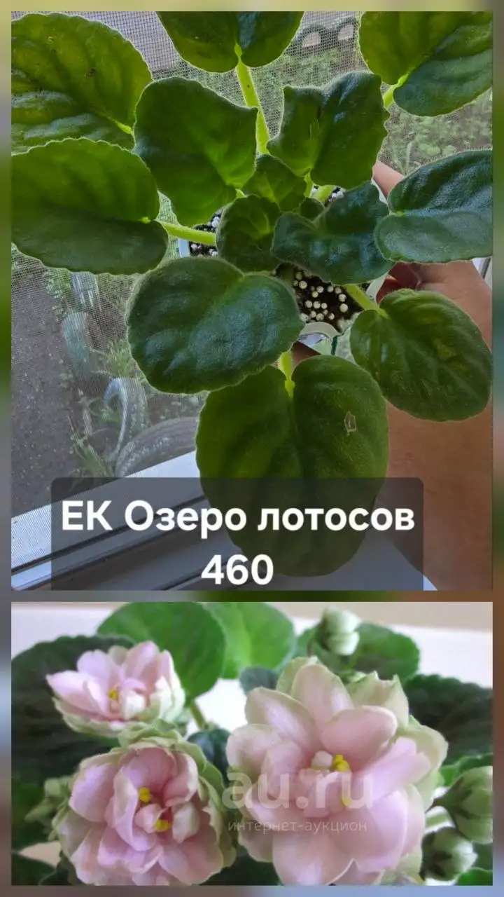 Разное продажа - Барахолка в Донецк