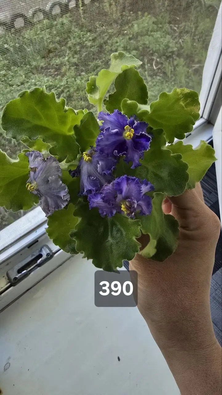 Разное продажа - Барахолка в Донецк