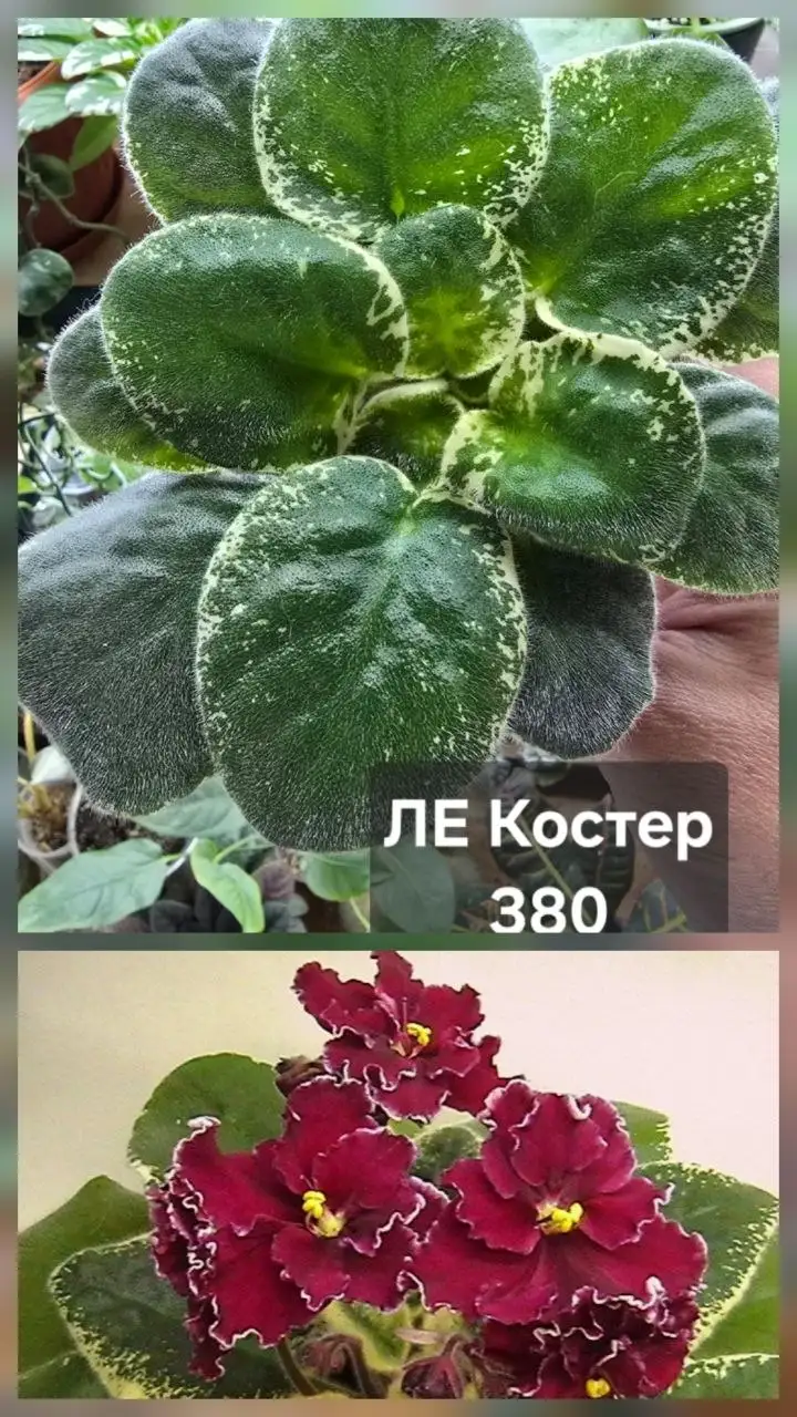 Разное продажа - Барахолка в Донецк