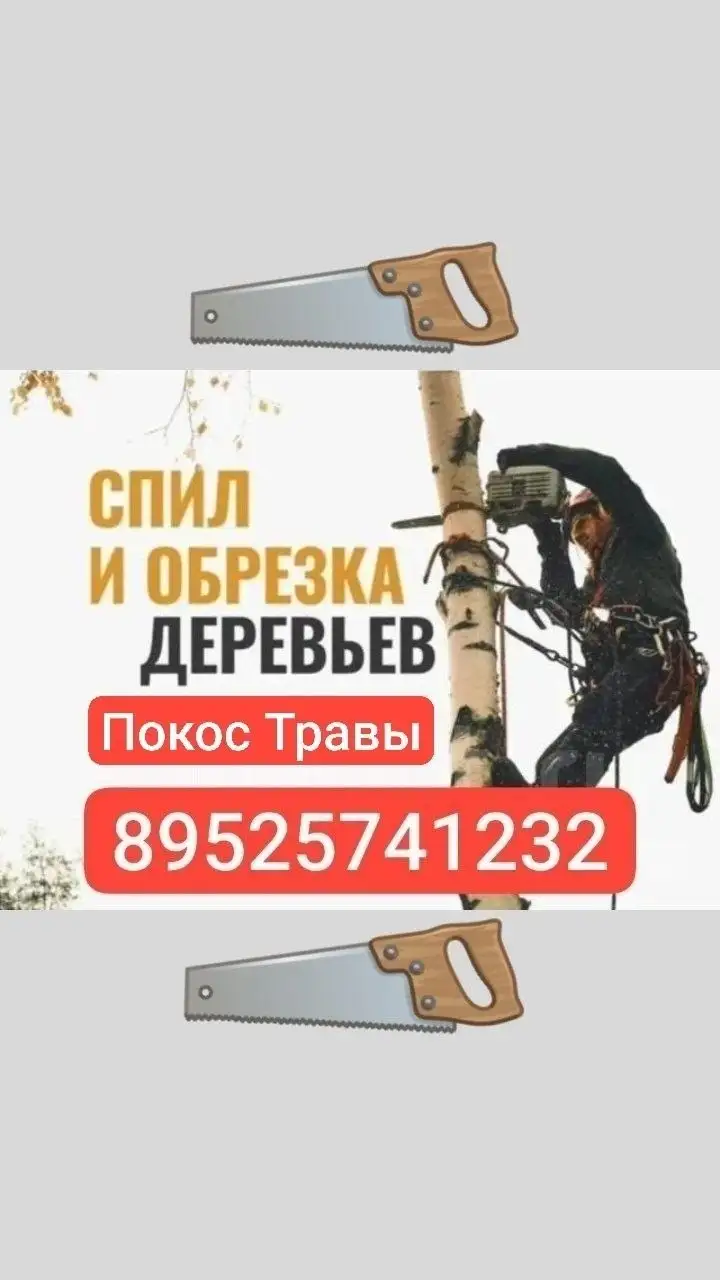 Спил деревьев и покос травы - Услуги по благоустройству (Услуги) в Волноваха