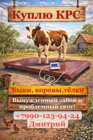 Куплю скот дорого: быки, коровы, козы, бараны - Собаки в Волноваха