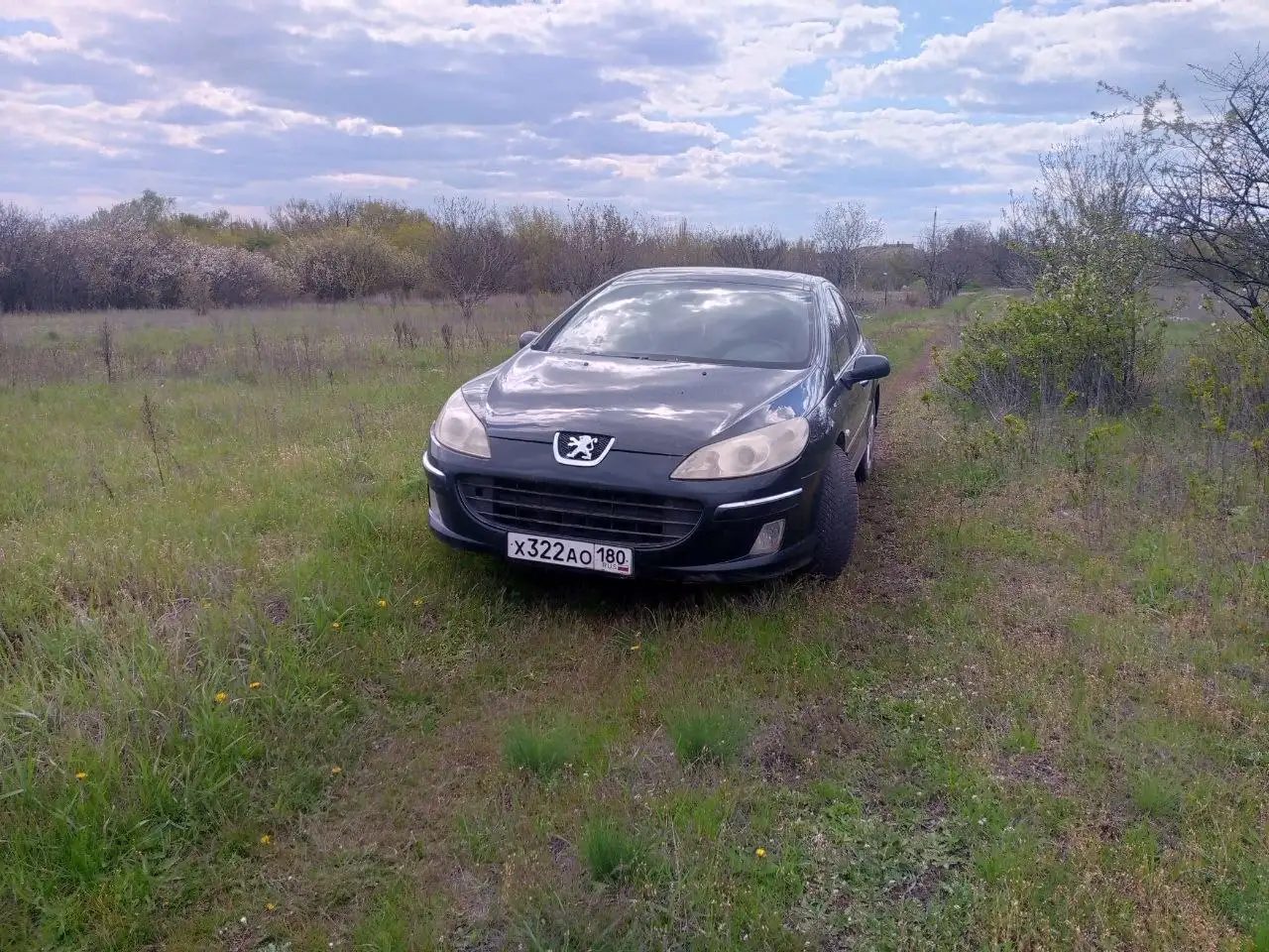 Продам Пежо 407 - Peugeot 407 (Авто) в Волноваха