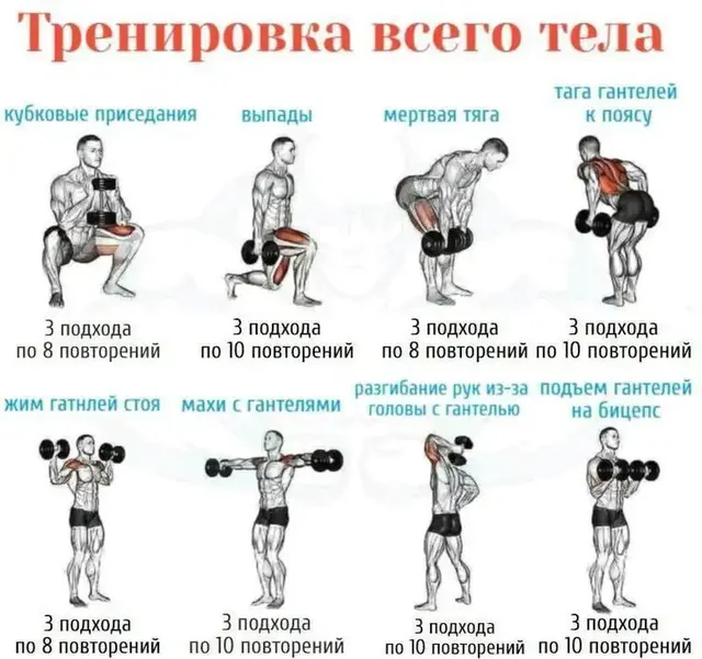 Продам гантели Dayu Fitness DB-182 профессиональные разборные - частное объявление в Волноваха