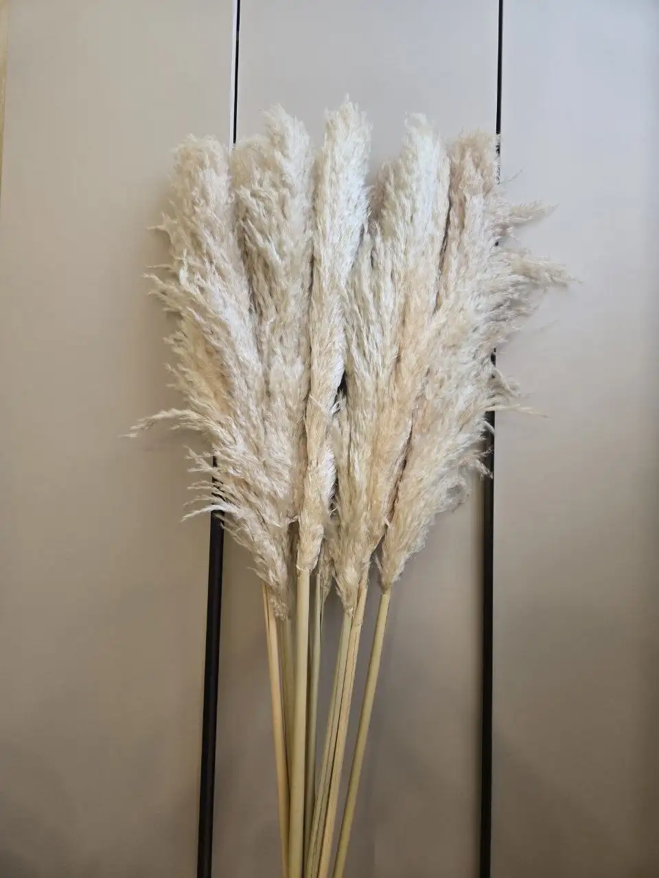 Пампасы 120см - Для дома и дачи в Самара