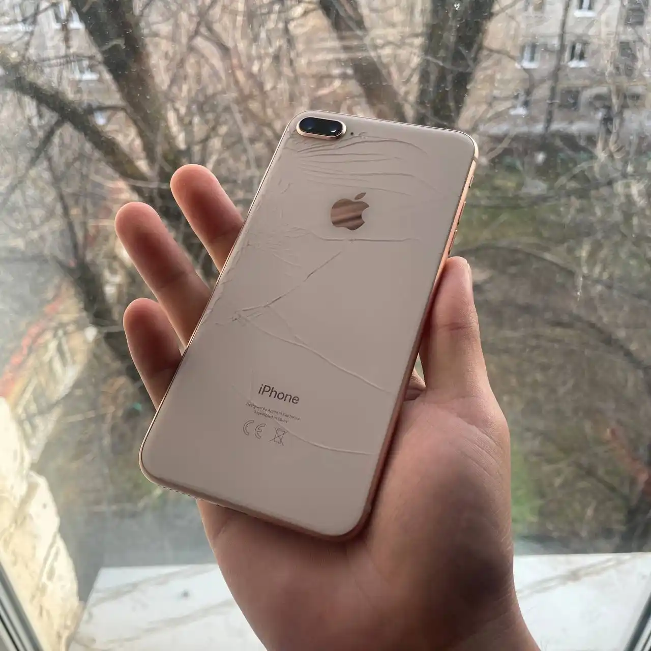 Продажа iPhone 12 и iPhone 8 Plus