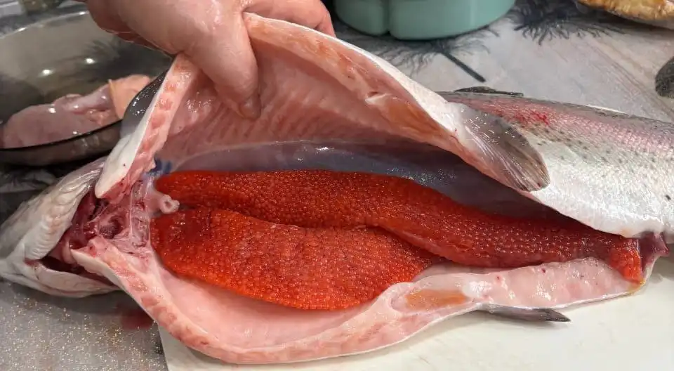 Форель охлажденная непотрошеная