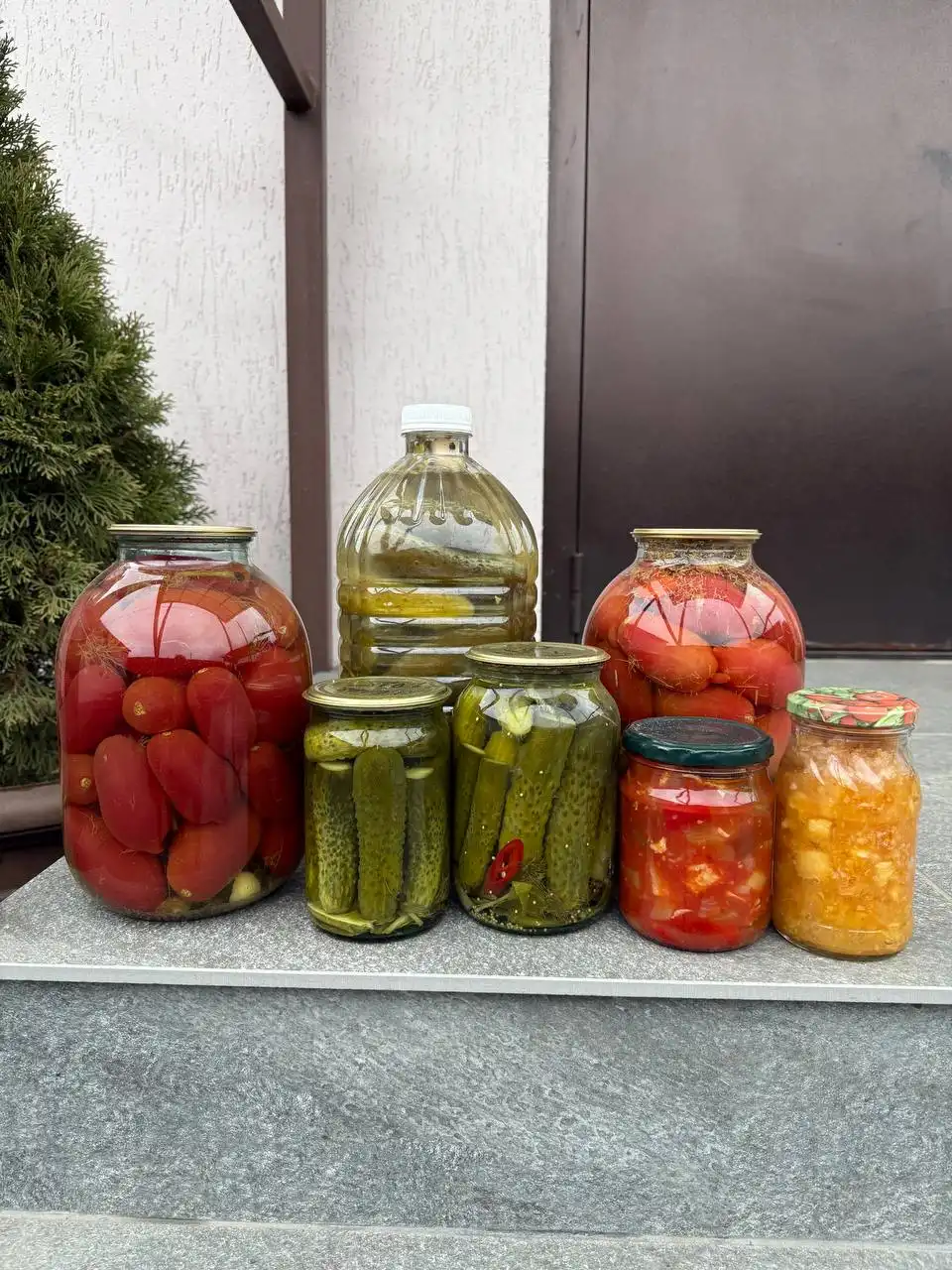 Солености домашнего приготовления