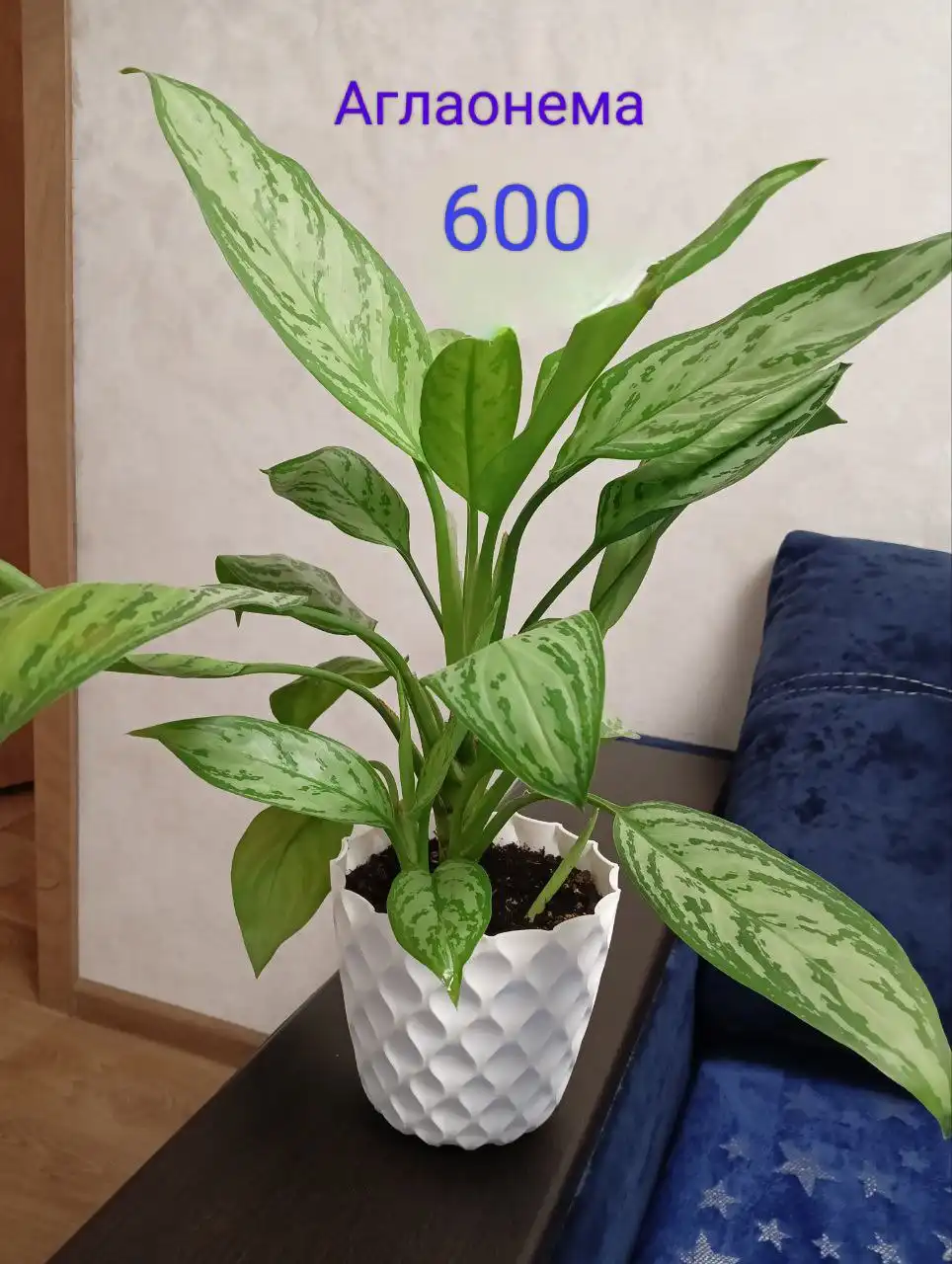 Продам iPhone 11 128GB с аксессуарами