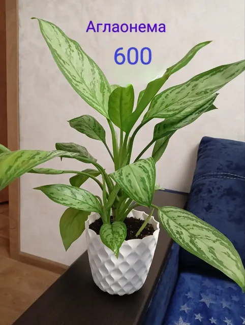 Продам iPhone 11 128GB с аксессуарами - частное объявление в Самара