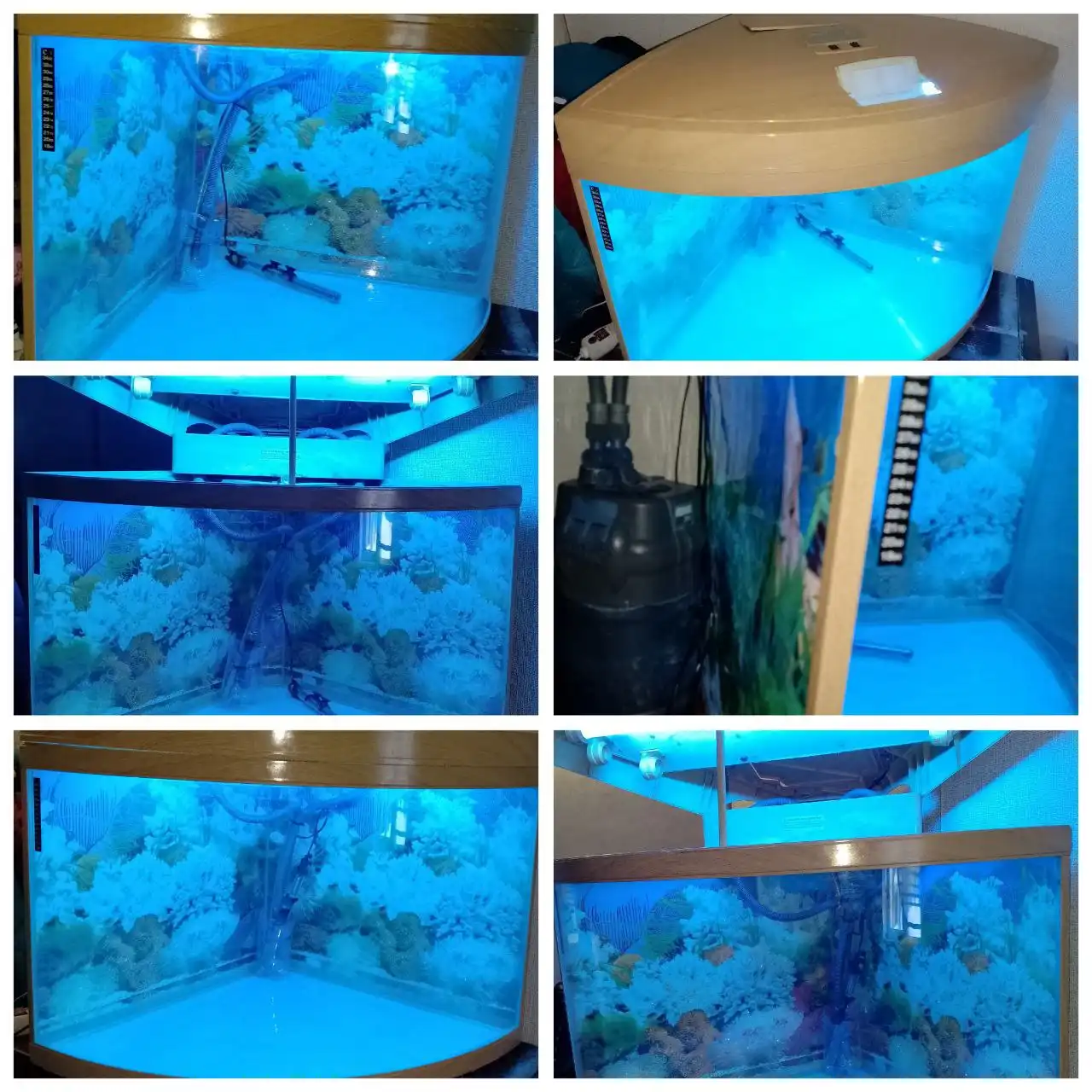 Продам кожаные ботинки и сумку