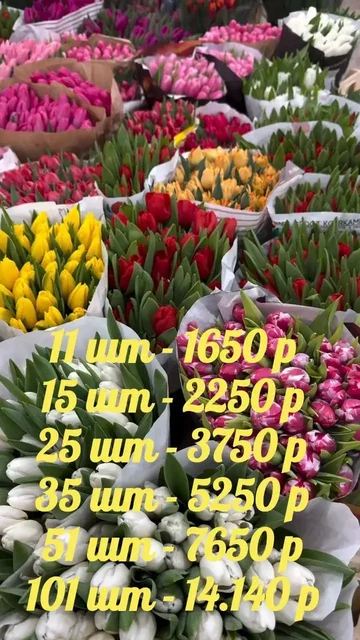 Предзаказ тюльпанов к 8 марта с доставкой в Самаре - Бизнес-консультации в Самара