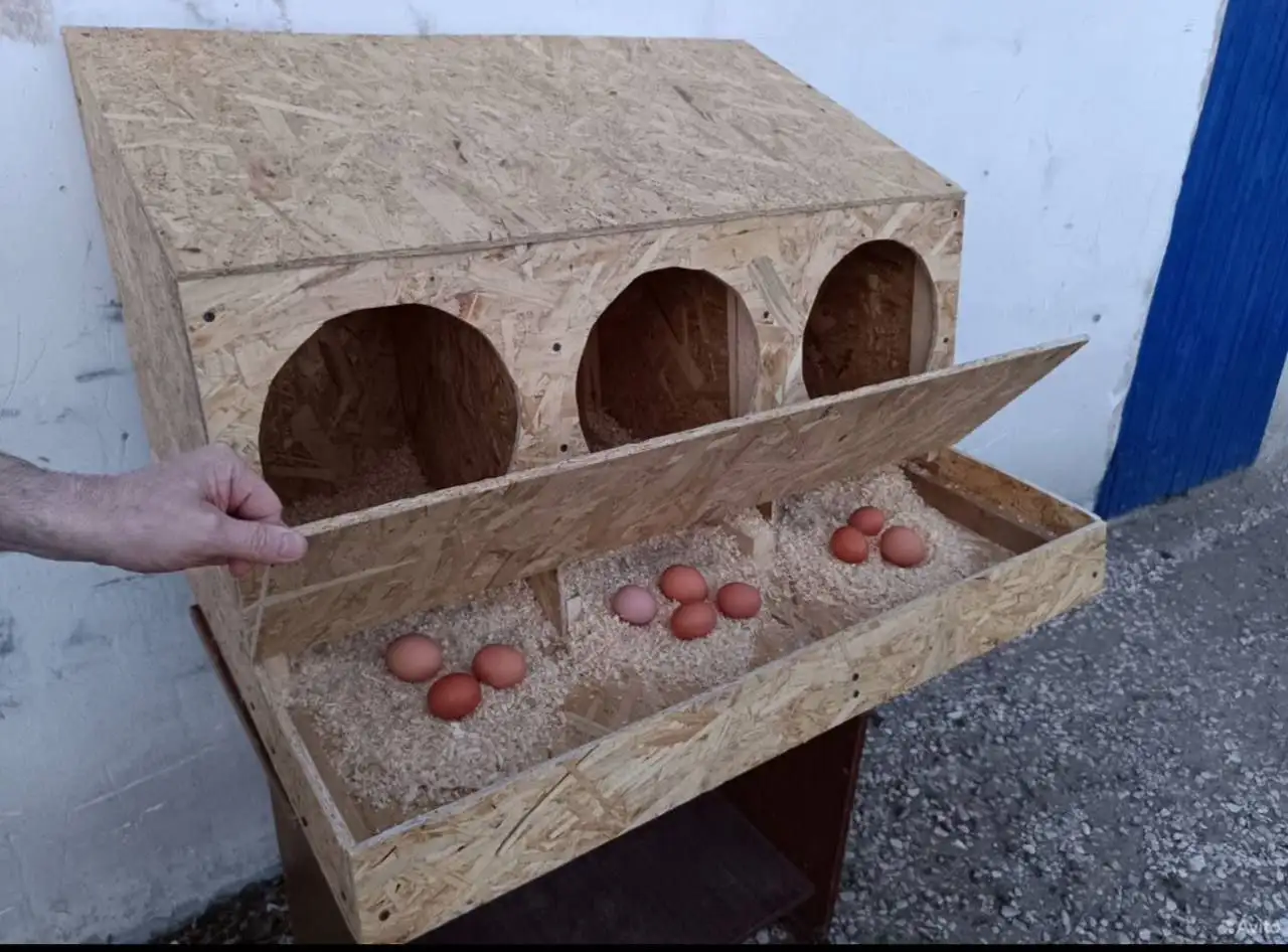 Гнезда для кур с яйцесборником - Товары для птицеводства (Для дома и дачи) в Самара