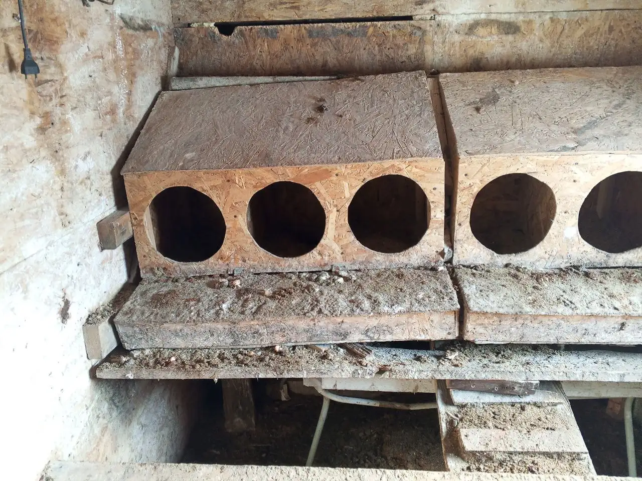 Гнезда для кур с яйцесборником - Товары для птицеводства (Для дома и дачи) в Самара