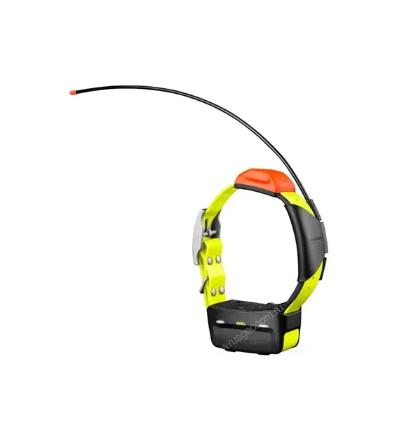 Продам Ошейник Garmin T5 для собак - частное объявление в Самара