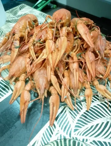 Вкуснейшие Волжские раки в наличии и на заказ - Раки в Самара