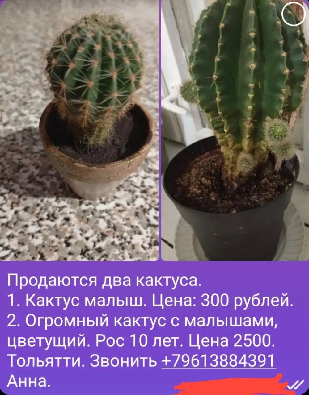 Срочная продажа - отдам даром - Барахолка в Самара
