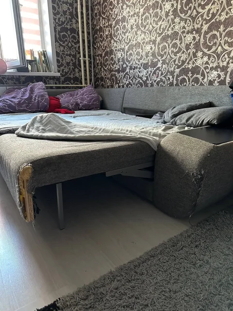Диван бесплатно с дефектом от кота - Растения и рассада в Самара