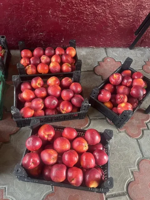 Продам нектарины и клубнику - Запчасти и аксессуары для мебели в Самара