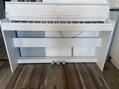 Продам цифровое пианино Wencai BL-8818 - Электроника в Самара