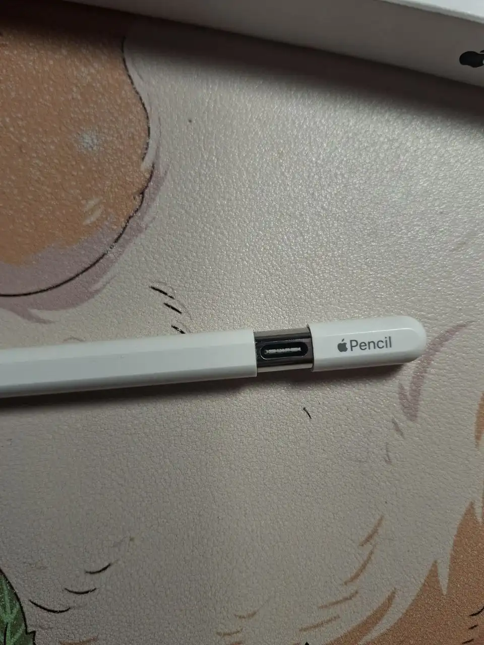 Продажа Apple Pencil (USB-C)