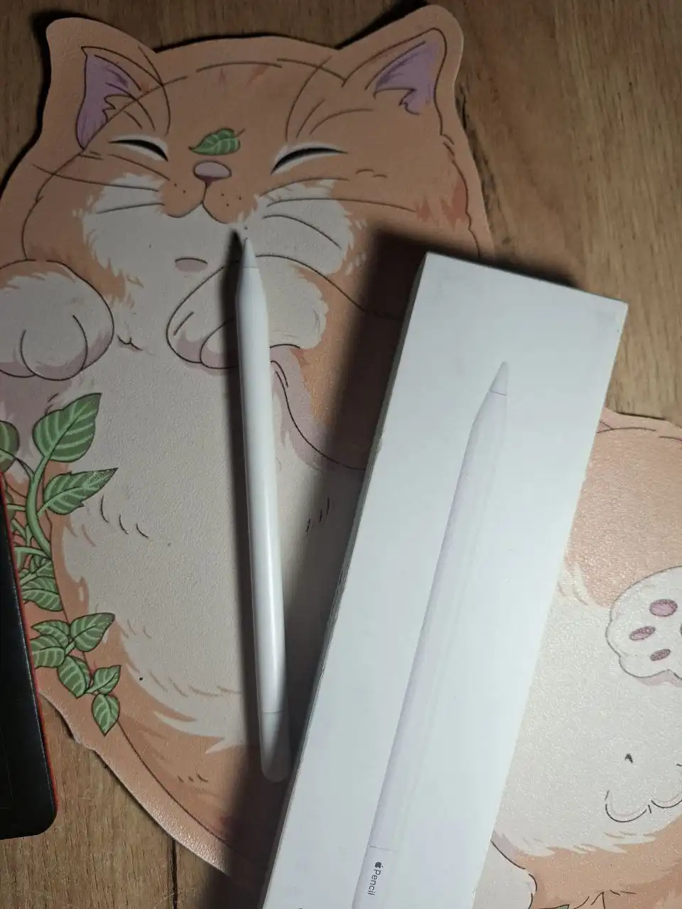 Продам Apple Pencil (USB-C) в идеальном состоянии