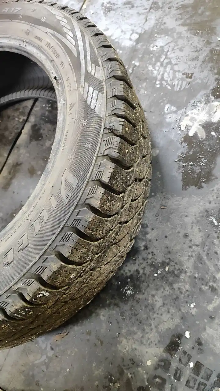 Две покрышки