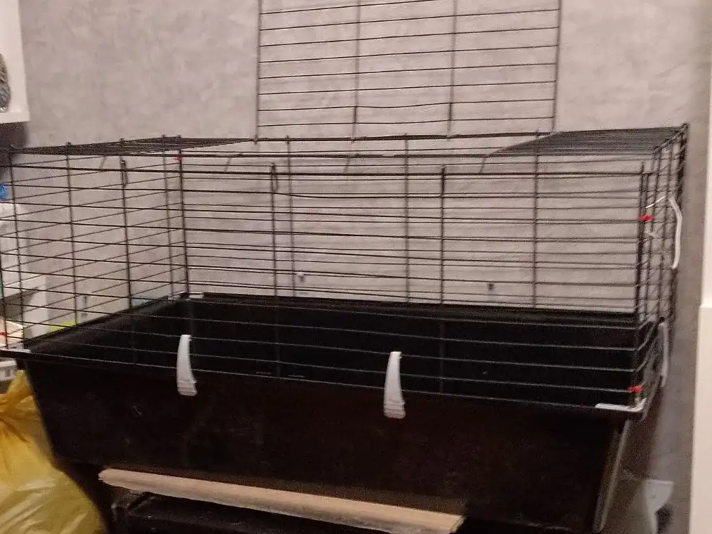 Клетка для грызунов и кошек с дополнительными аксессуарами - Барахолка в Челябинск