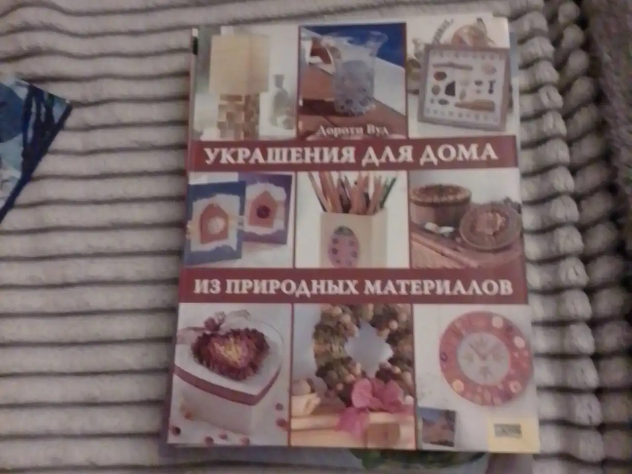 Отдам в обмен на корм сухой - Барахолка в Челябинск
