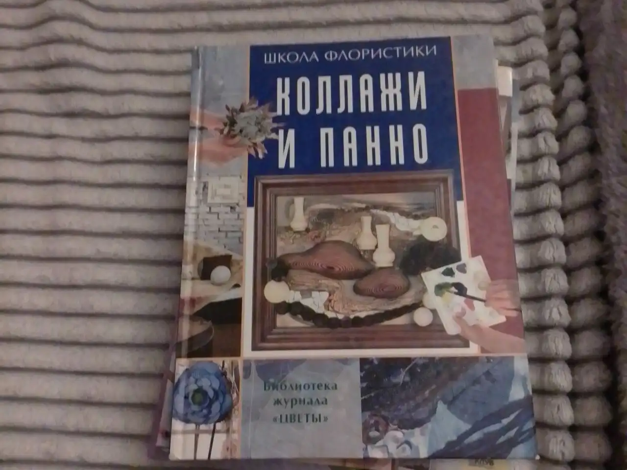 Отдам в обмен на корм сухой - Барахолка в Челябинск