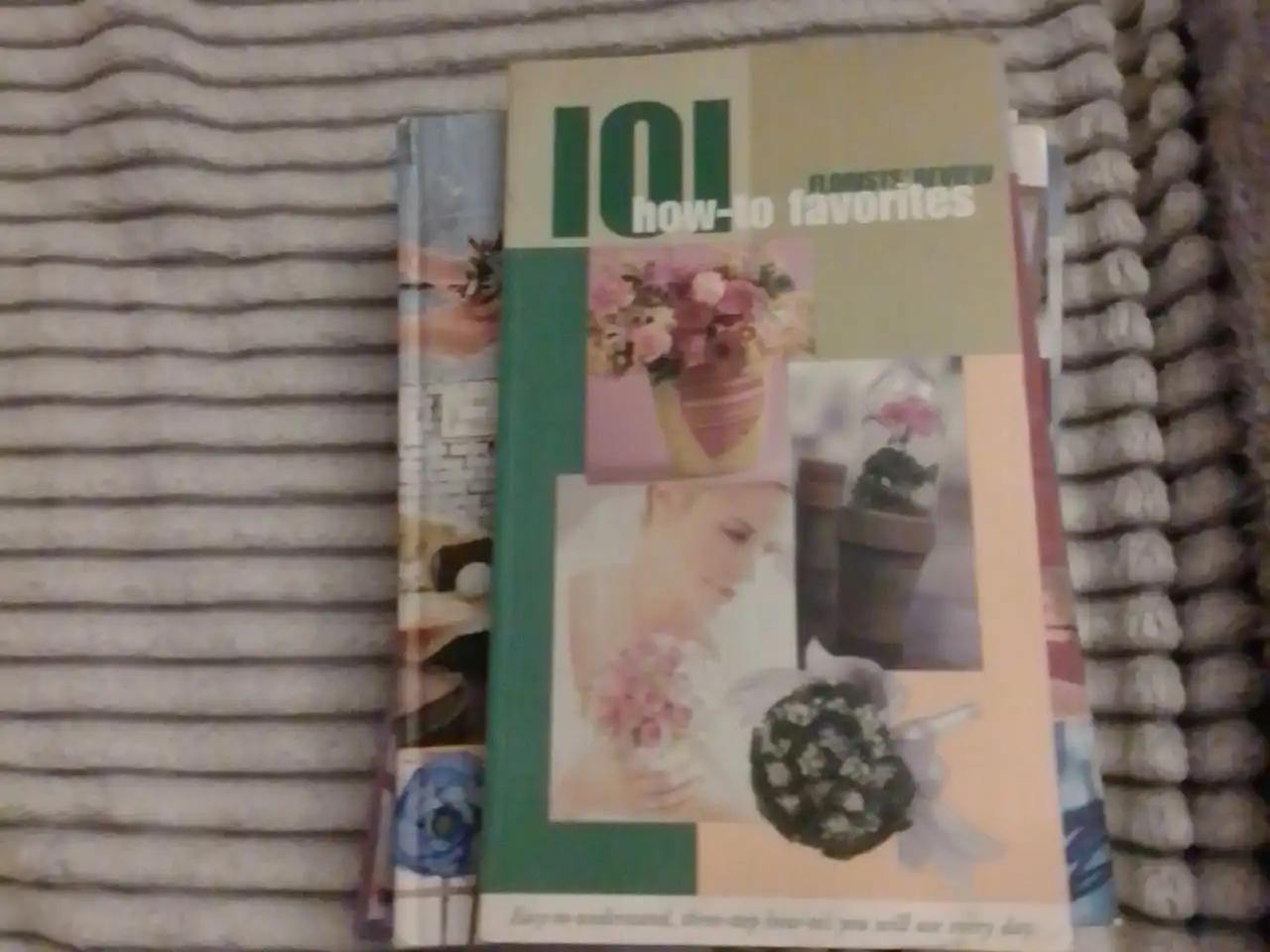 Отдам в обмен на корм сухой - Барахолка в Челябинск