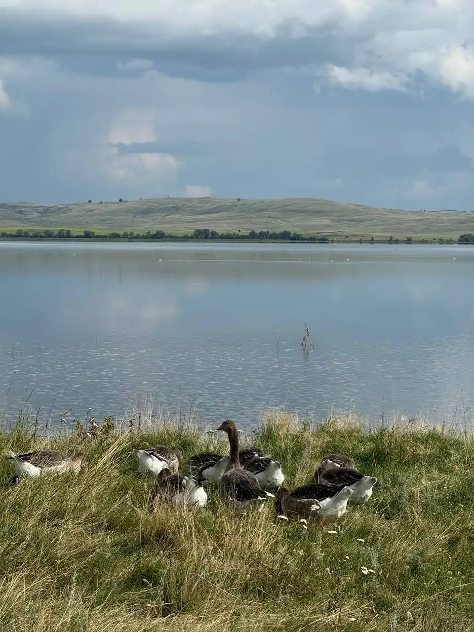 Продам участок ИЖС в пос. Спасский (Челябинская область) - Земельные участки (Недвижимость) в Верхнеуральский район, пос. Спасский
