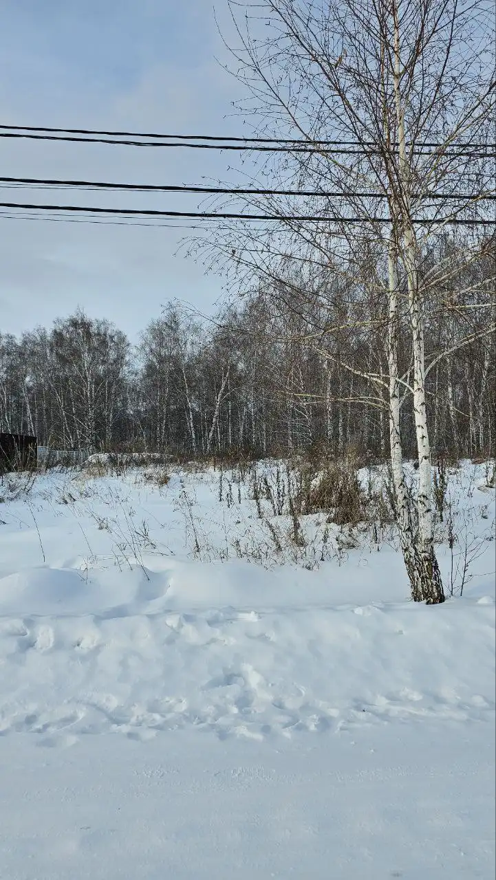 Продажа земельных участков у Песчаного озера и Кумкуля - Земельные участки (Недвижимость) в Челябинск