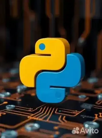 Обучение Python с нуля и подготовка к ОГЭ по информатике - частное объявление в Челябинск