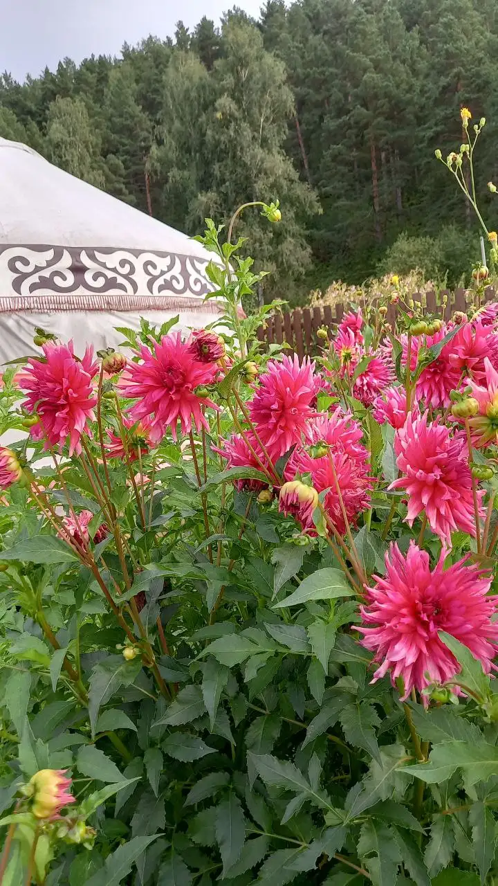 Отдых в Горном Алтае - Отдых на природе (Хобби и отдых) в Челябинск