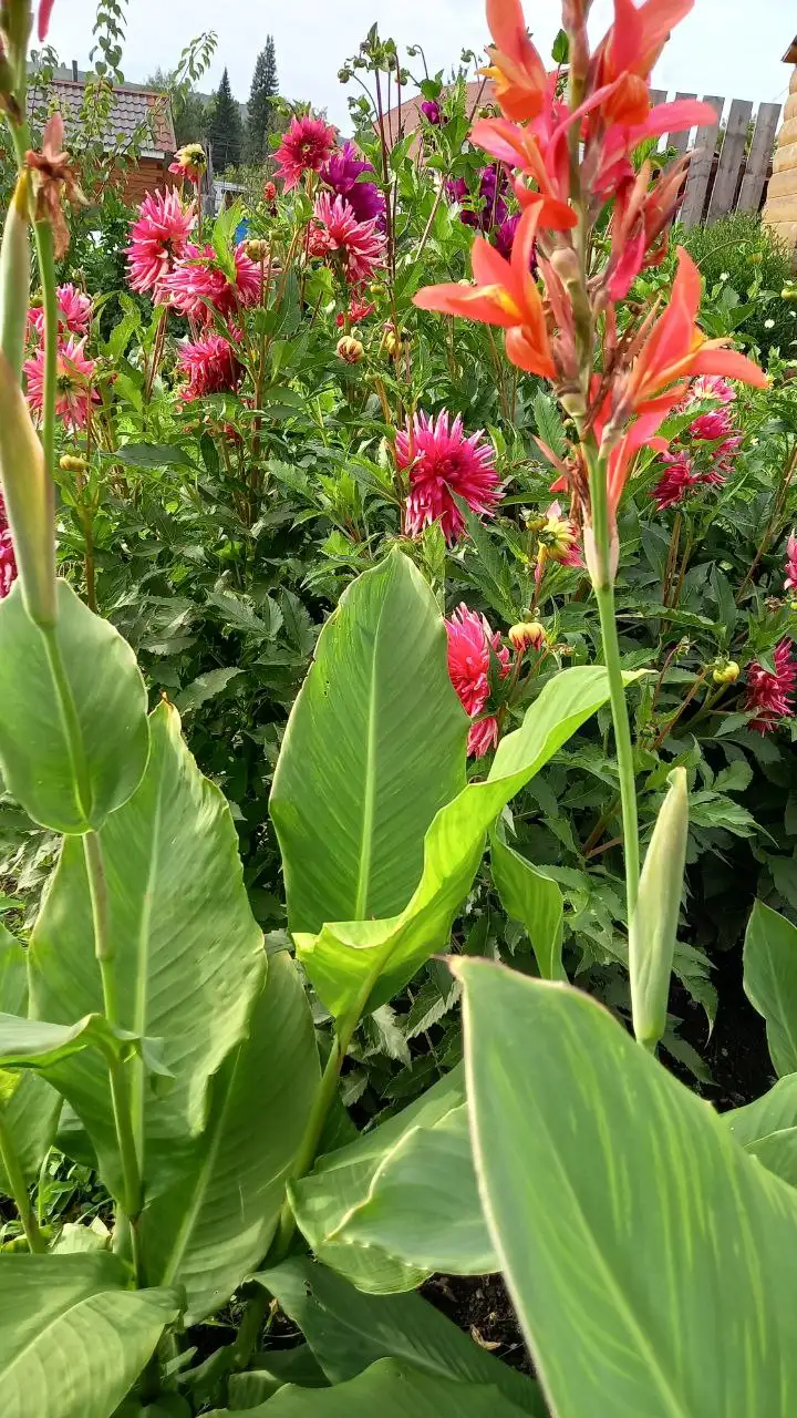 Отдых в Горном Алтае - Отдых на природе (Хобби и отдых) в Челябинск