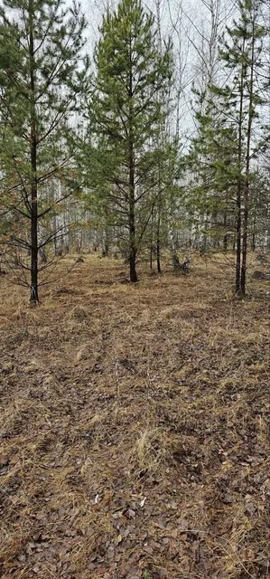 Продажа участков на Увильдах - Недвижимость в Челябинск