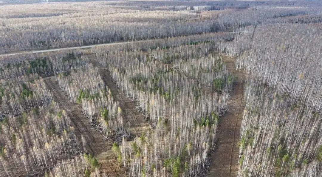 Продажа участков на Увильдах - Земельные участки (Недвижимость) в Челябинск