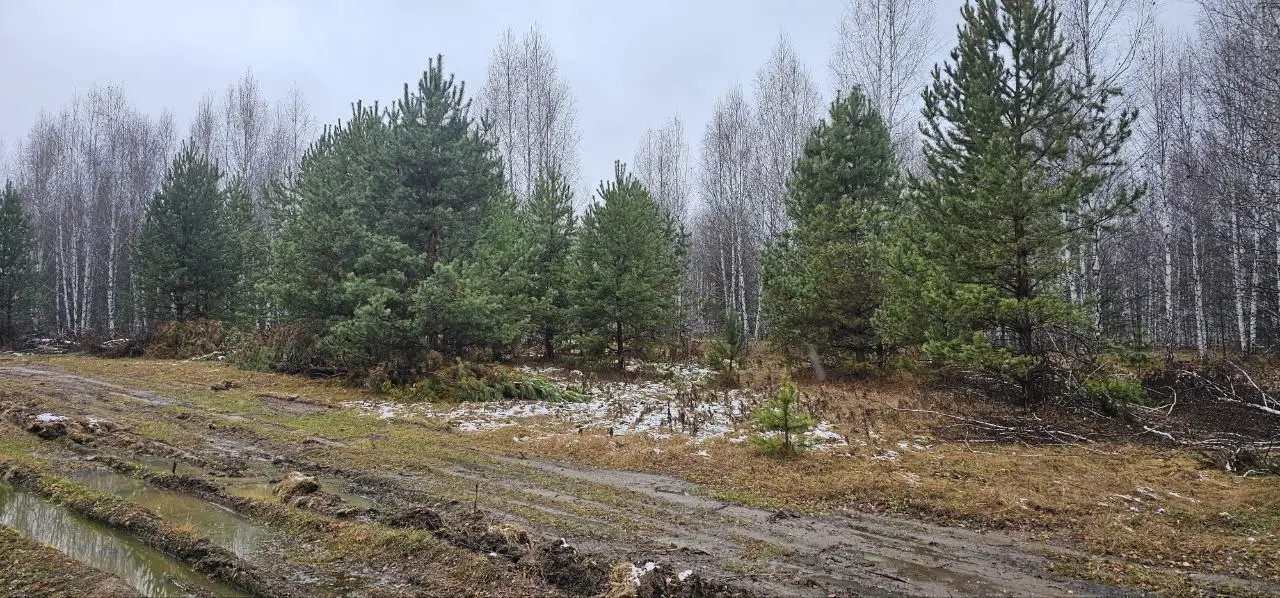 Продажа участков на Увильдах - Земельные участки (Недвижимость) в Челябинск