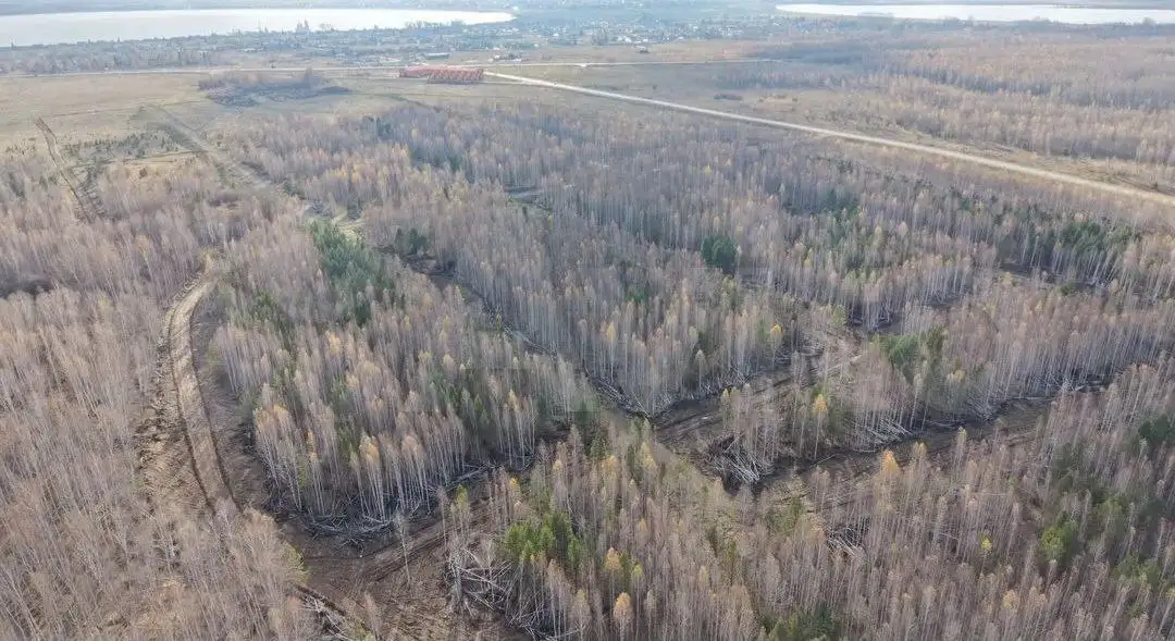 Продажа участков на Увильдах - Земельные участки (Недвижимость) в Челябинск