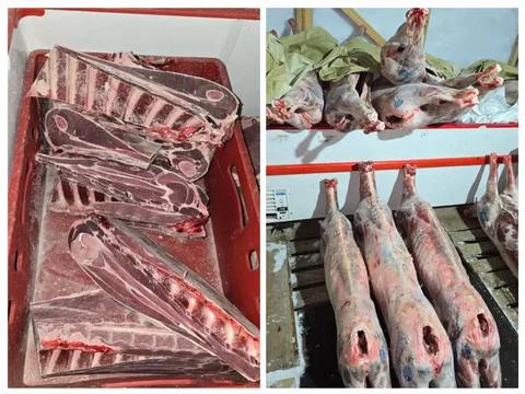 Продажа оленины в Челябинске - частное объявление в Челябинск