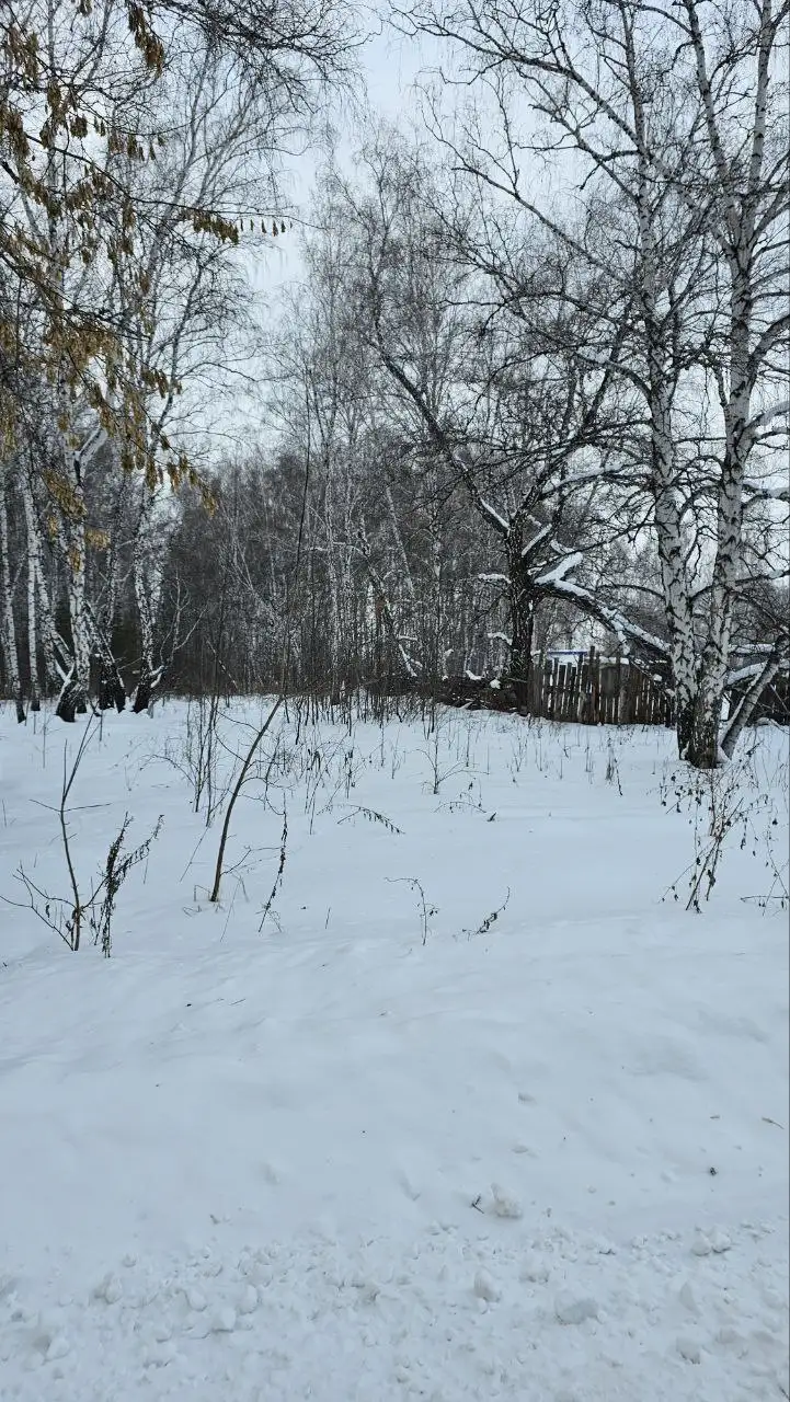 Участок в форме самолета для сельхоз использования у озера Кумкуль - Земельные участки (Недвижимость) в Челябинск