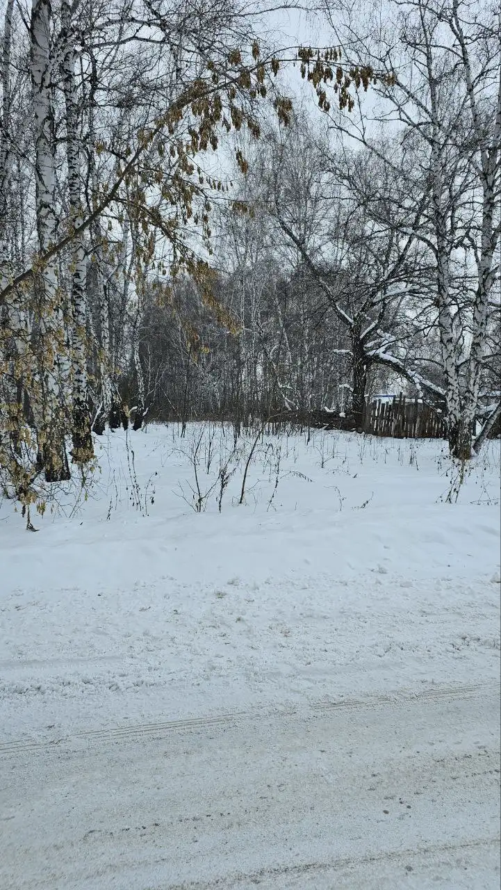 Участок в форме самолета для сельхоз использования у озера Кумкуль - Земельные участки (Недвижимость) в Челябинск