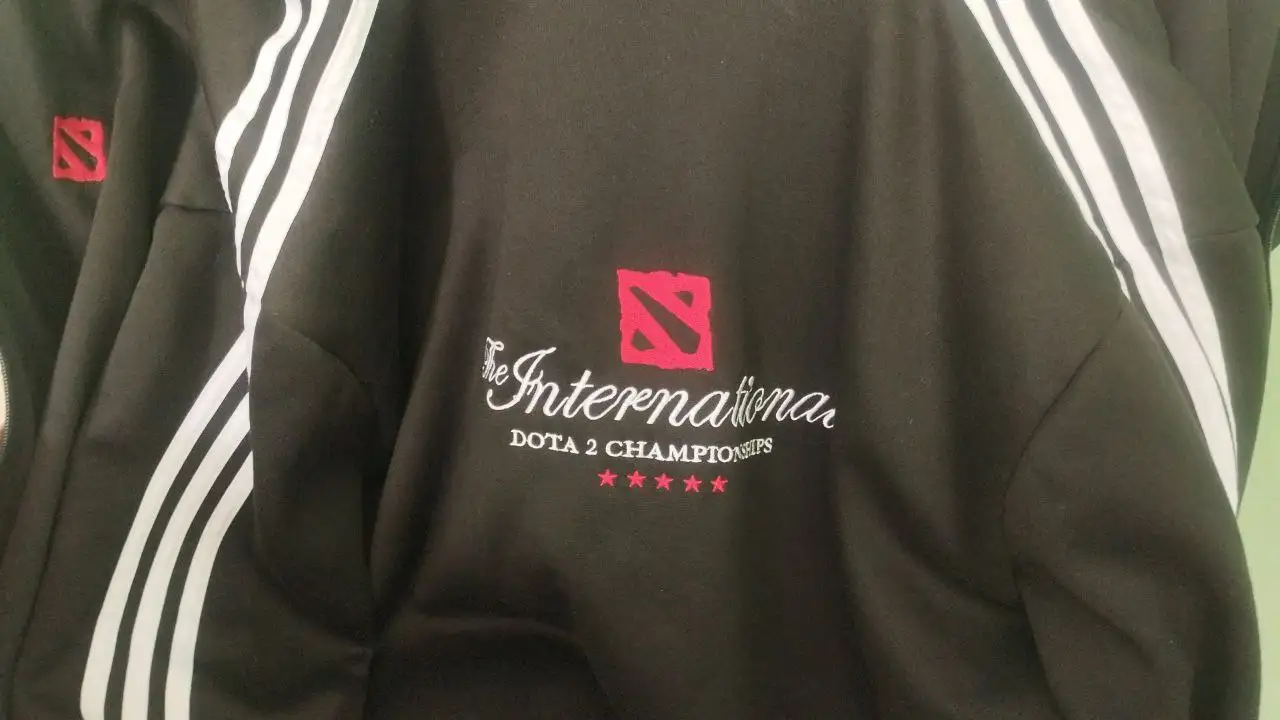 Продам кофту зип Dota 2 - Верхняя одежда (Одежда) в Челябинск