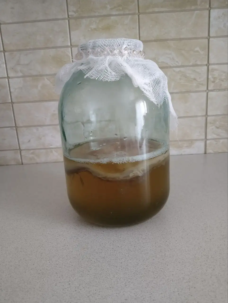 Чайный гриб с банкой 3 литра - Продукты питания (Барахолка) в Челябинск