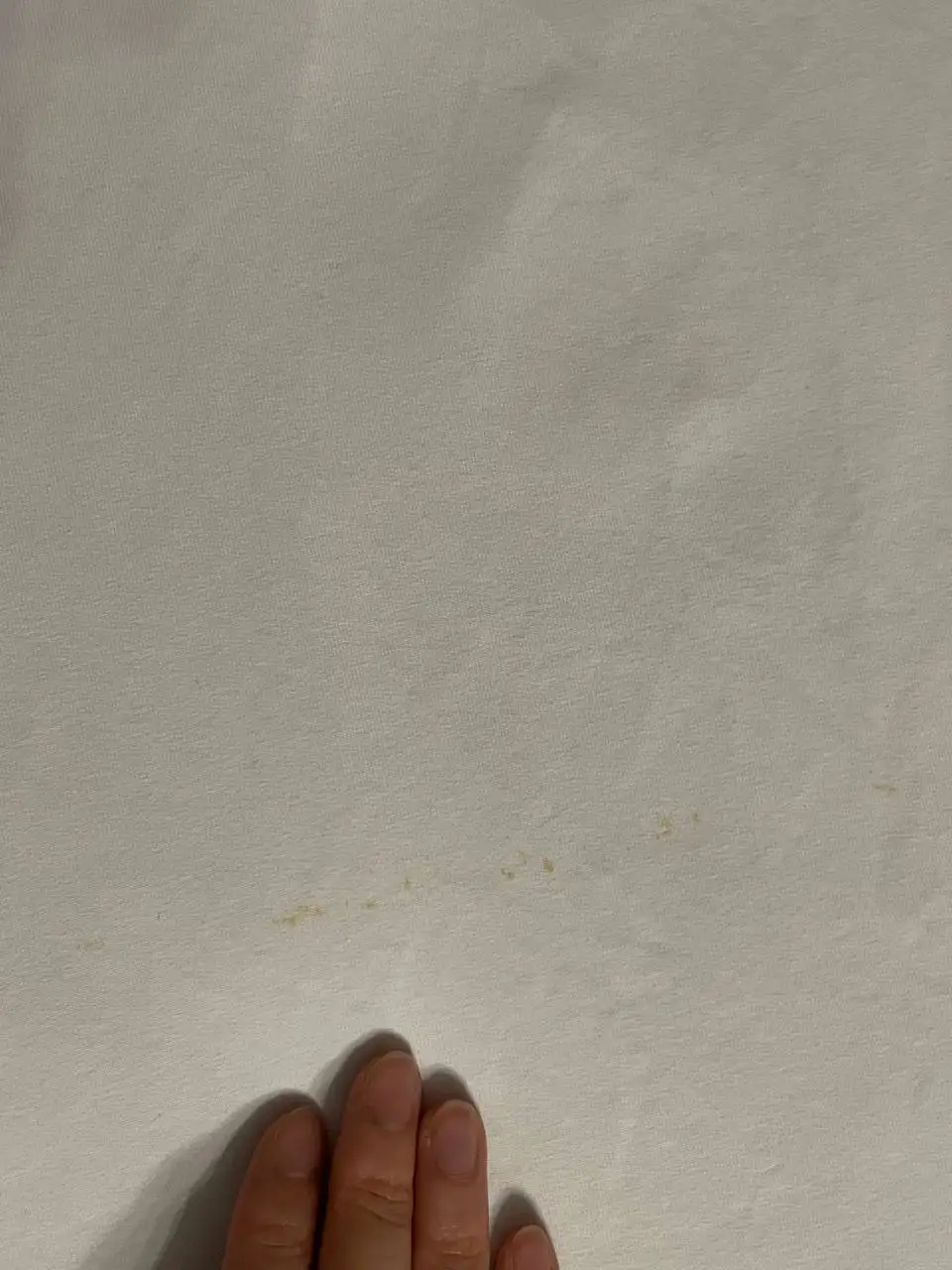 Футболки разных цветов и размеров - Футболки (Одежда) в Челябинск