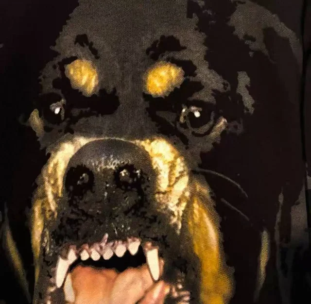 Свитшот Givenchy Rottweiler Fit - Косметика в Челябинск