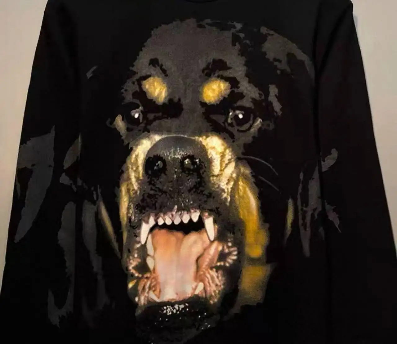 Свитшот Givenchy Rottweiler Fit - Одежда в Челябинск